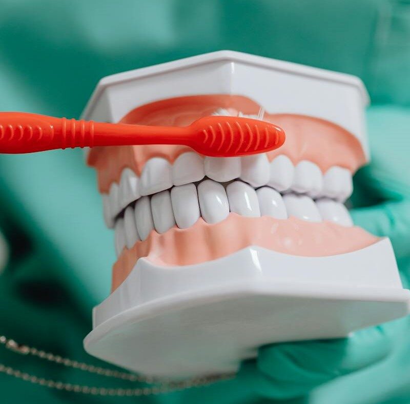 Salud Bucal | Clínica Dental Valencia Marien Morata Roig